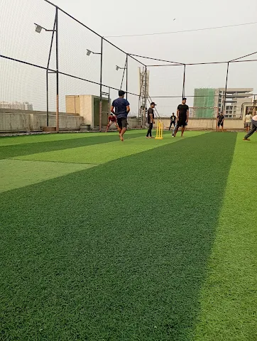Turf photo 2