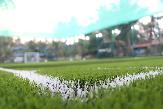 Turf photo 5