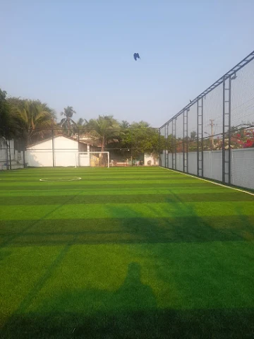 Turf photo 4