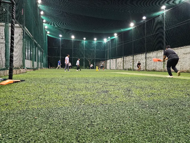 Turf photo 2