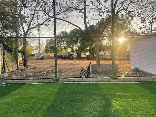 Turf photo 3