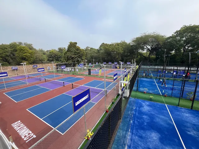 Turf photo 2