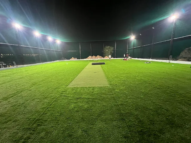 Turf photo 6