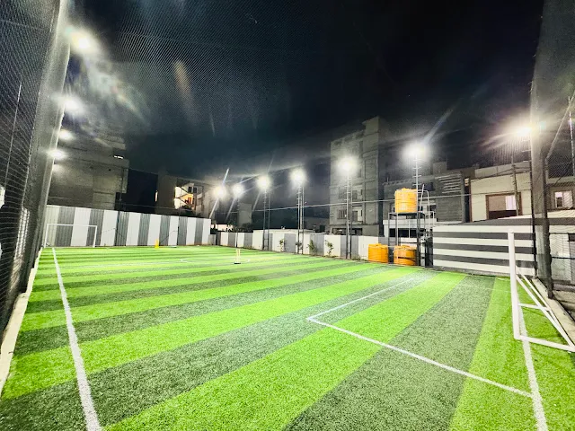 Turf photo 2