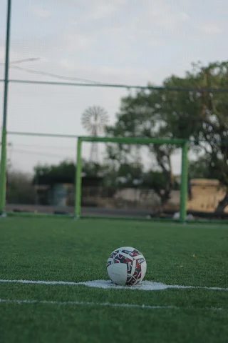 Turf photo 3