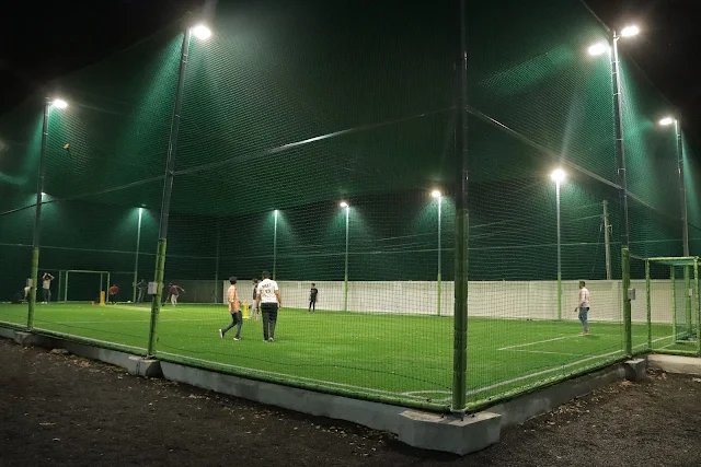 Turf photo 2