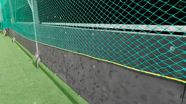Turf photo 3