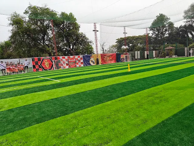Turf photo 2