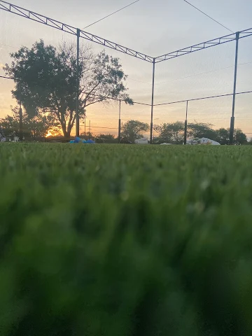 Turf photo 3