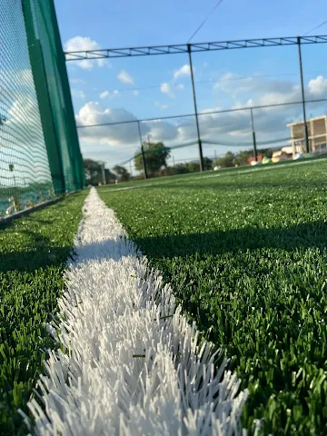 Turf photo 2