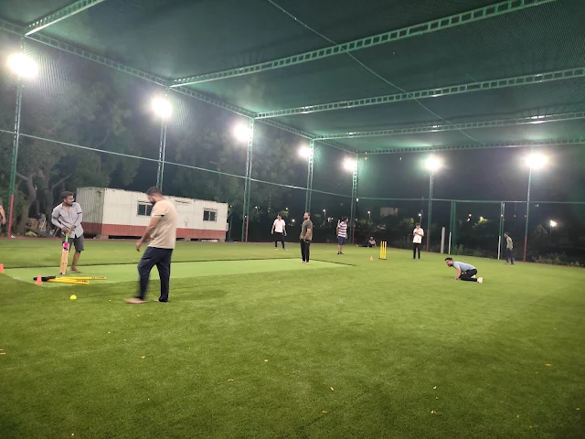 Turf photo 2