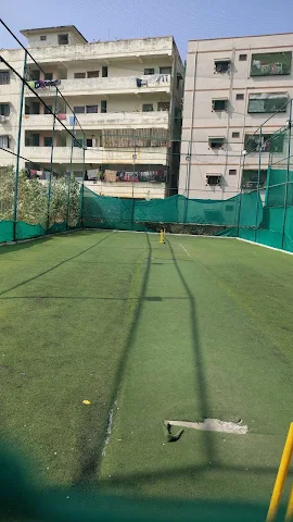 Turf photo 5