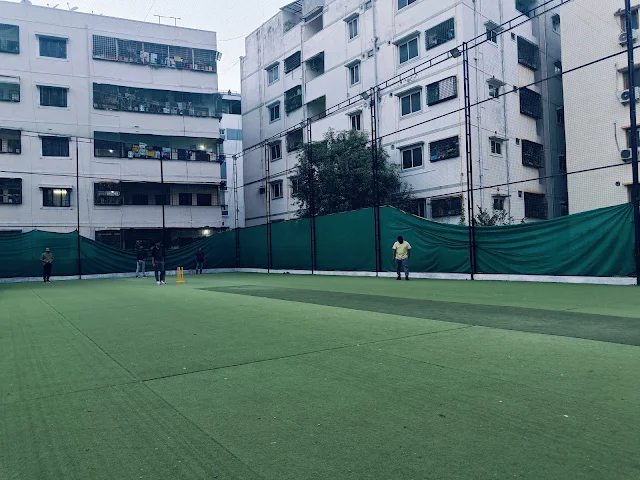 Turf main photo