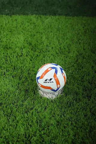 Turf photo 7