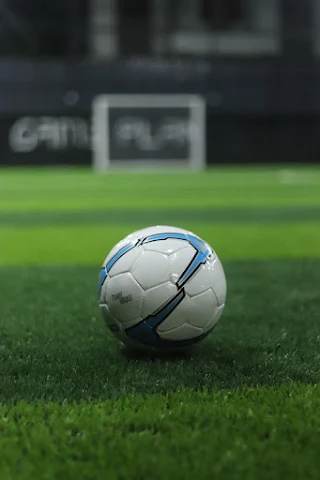 Turf photo 6