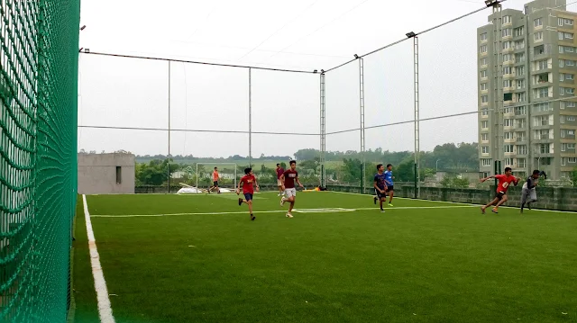 Turf photo 2