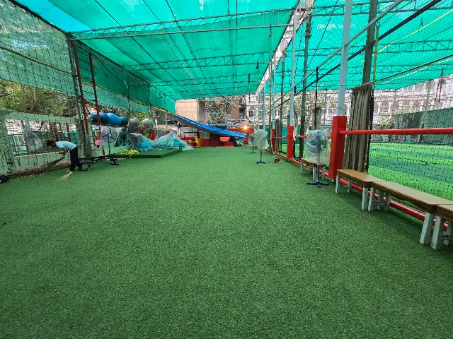 Turf main photo
