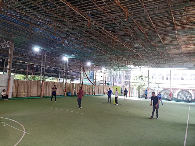 Turf photo 4