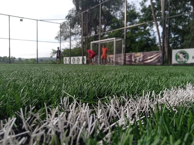 Turf photo 4