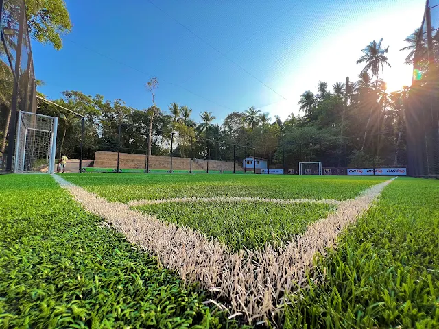 Turf photo 2