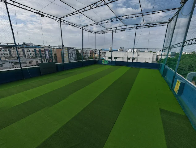 Turf photo 6