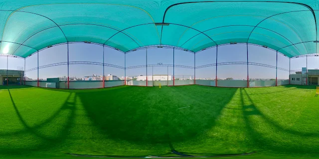 Turf photo 10