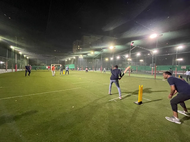 Turf photo 2