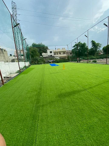 Turf photo 3