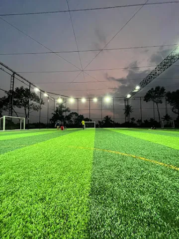 Turf photo 6