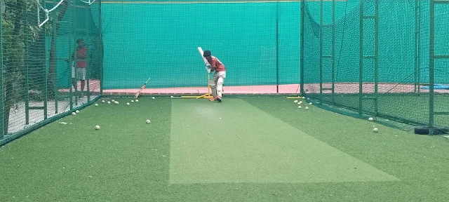 Turf photo 4
