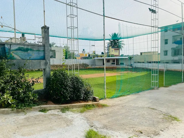 Turf main photo