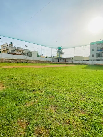 Turf photo 2