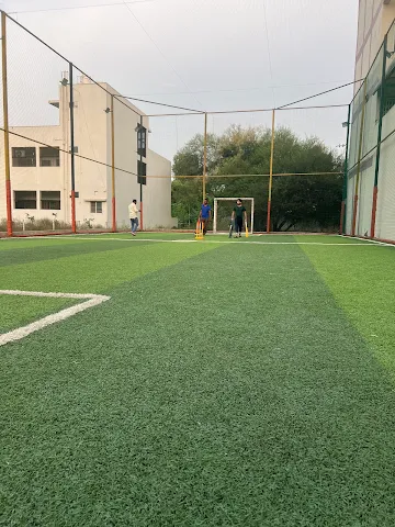 Turf photo 2