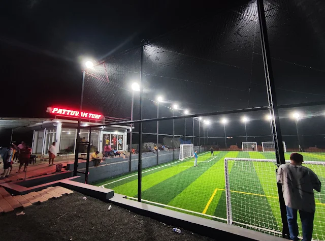 Turf photo 2