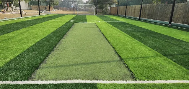 Turf photo 4
