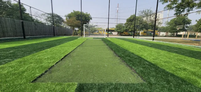 Turf photo 3
