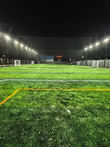 Turf photo 2
