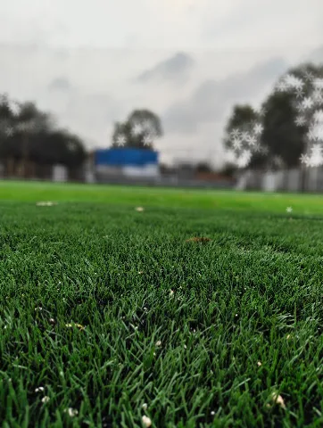 Turf photo 5