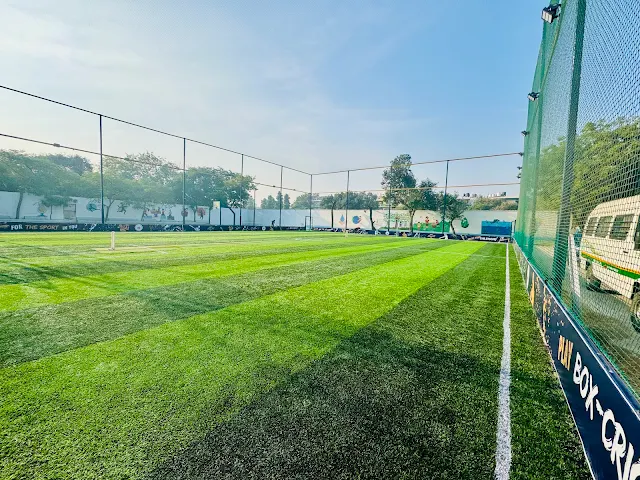 Turf photo 2
