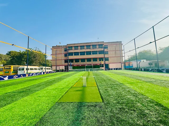 Turf photo 3