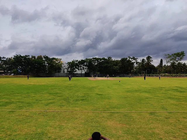 Turf main photo