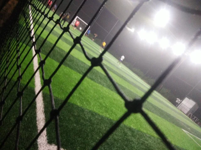Turf photo 6