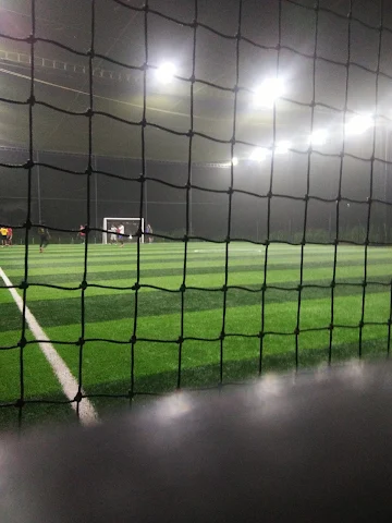 Turf photo 7