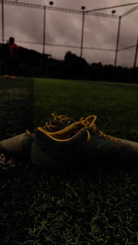 Turf photo 5