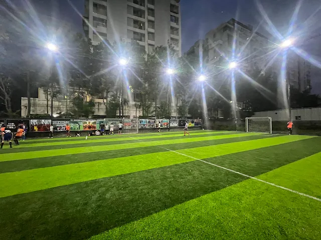 Turf photo 2
