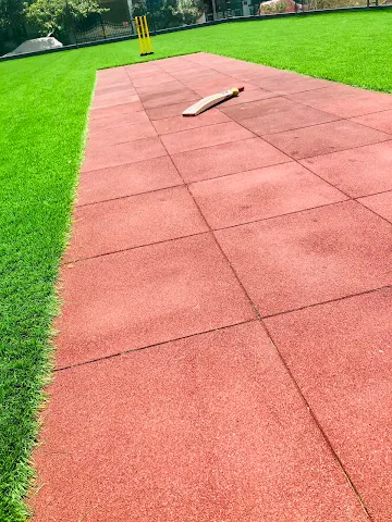 Turf photo 3