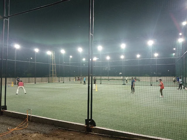 Turf photo 8