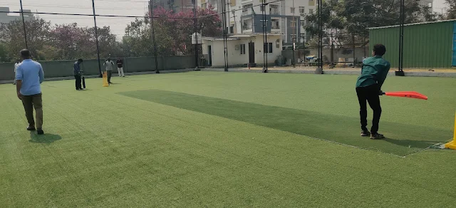 Turf photo 7