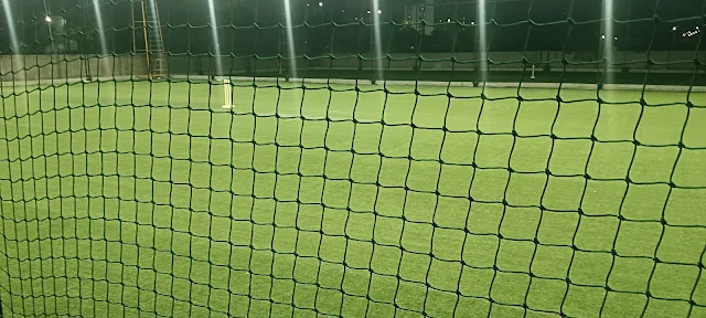 Turf photo 3