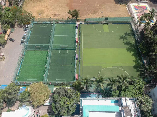 Turf main photo